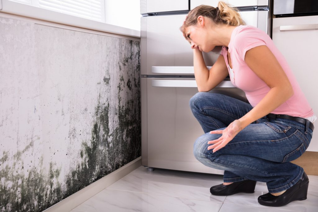 The Importance of Post-Remediation Testing for Your Home