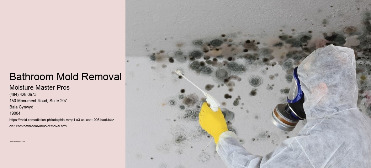Bathroom Mold Removal