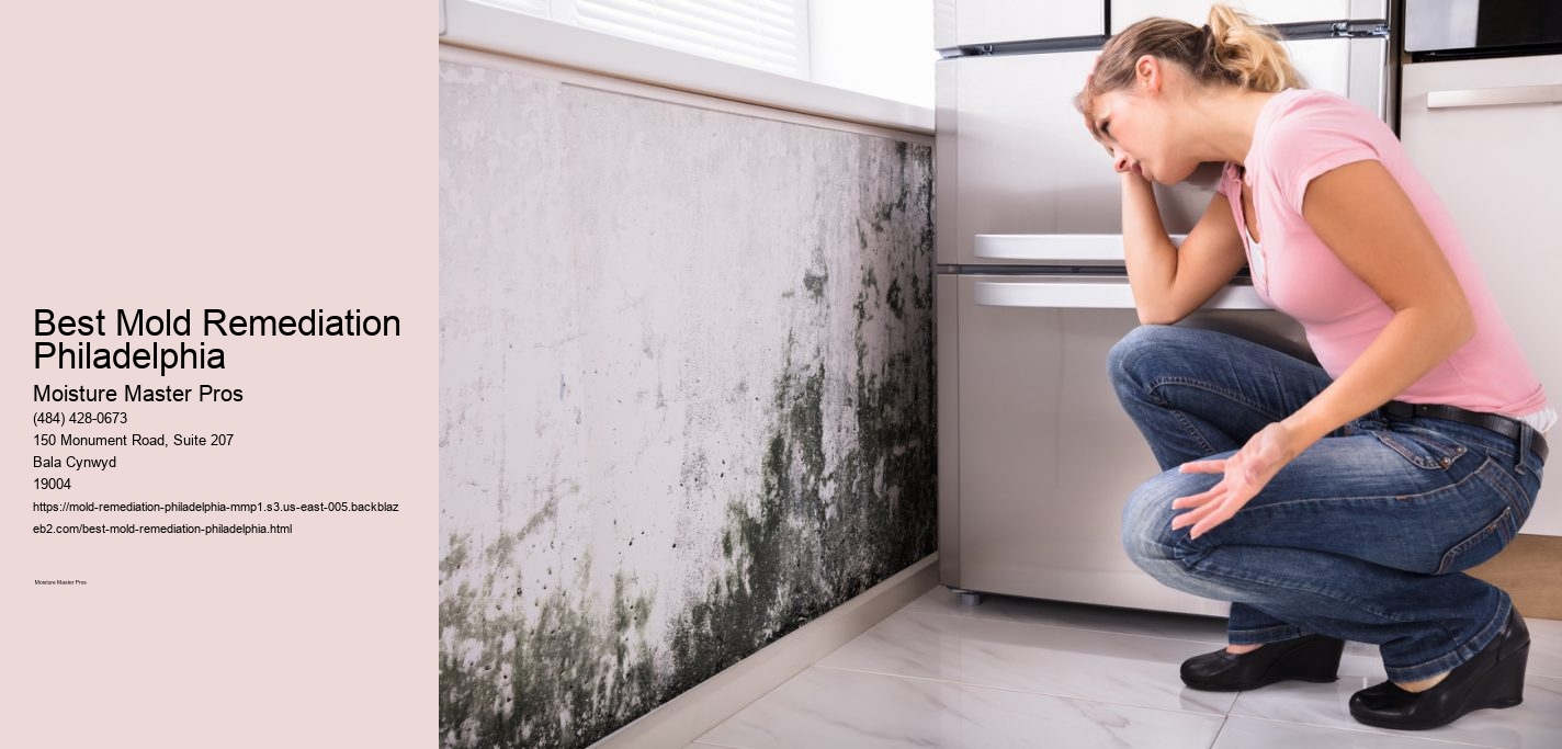 Best Mold Remediation Philadelphia