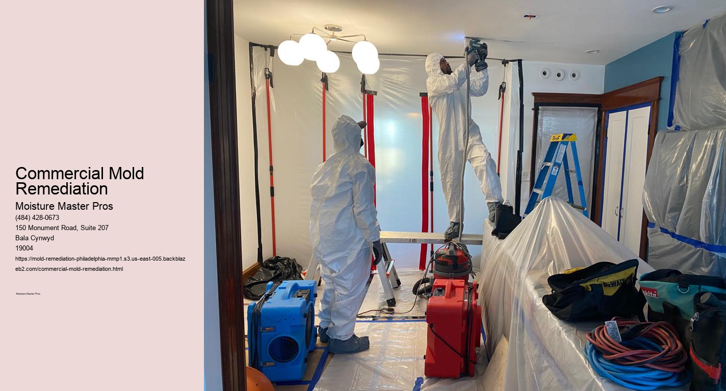 Commercial Mold Remediation