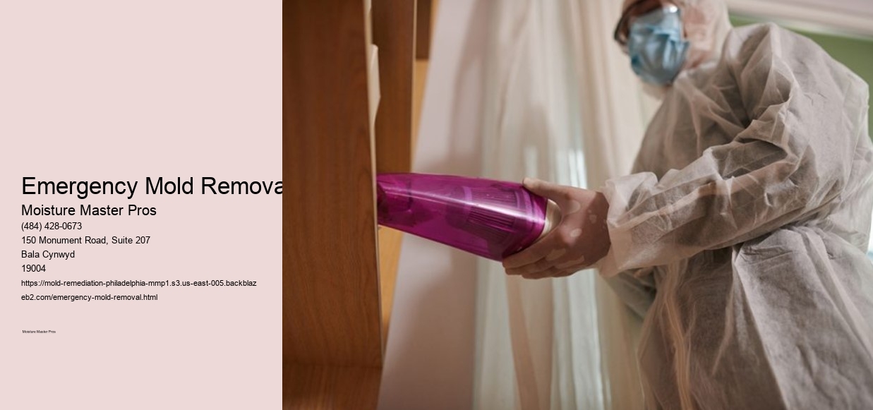 Emergency Mold Removal