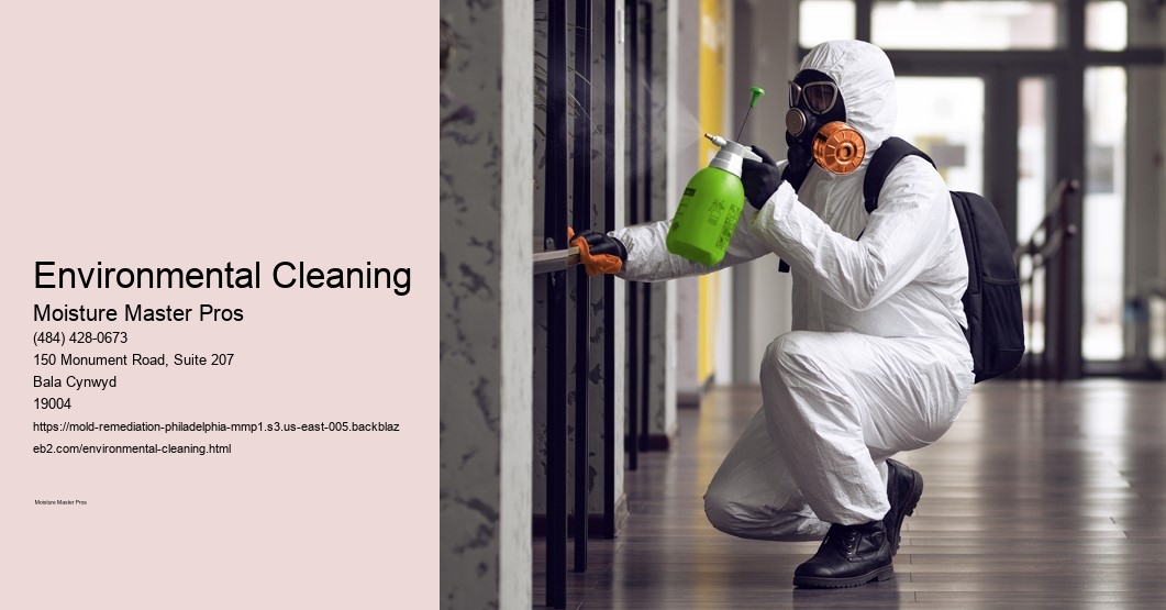 Environmental Cleaning