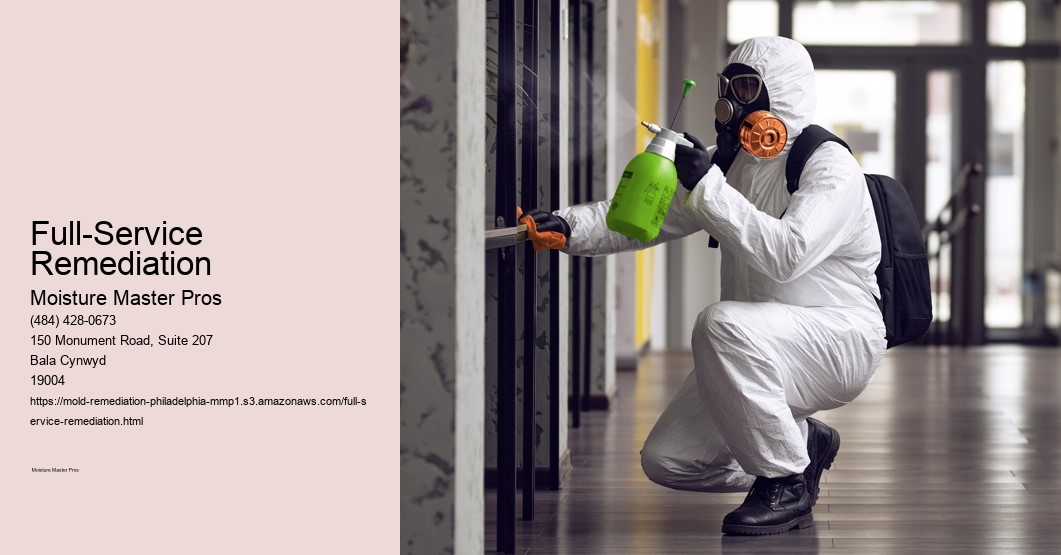 Full-Service Remediation