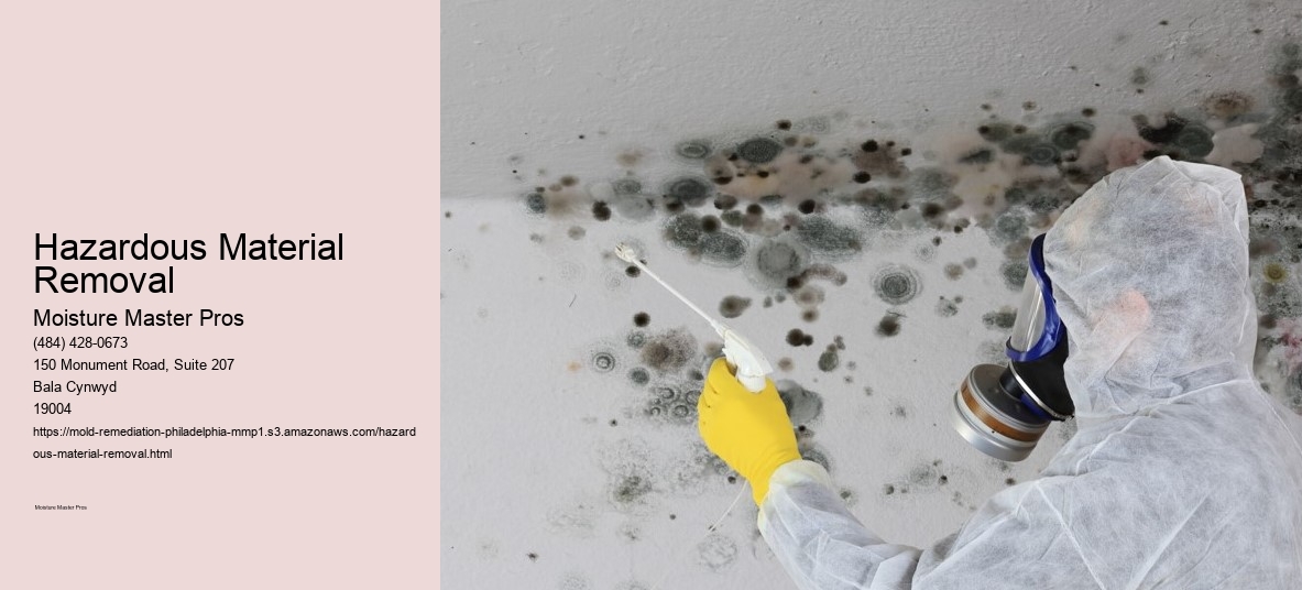 Hazardous Material Removal