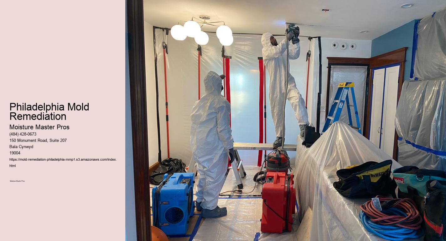 Philadelphia Mold Remediation