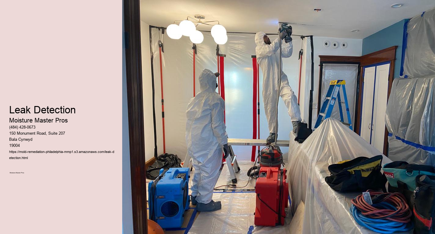 Leak Detection
