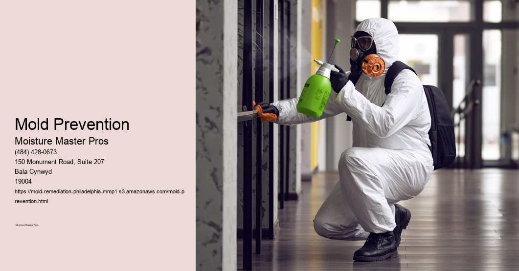 Mold Prevention