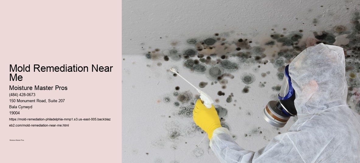 Mold Remediation Near Me
