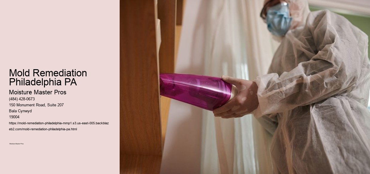 Mold Remediation Philadelphia PA