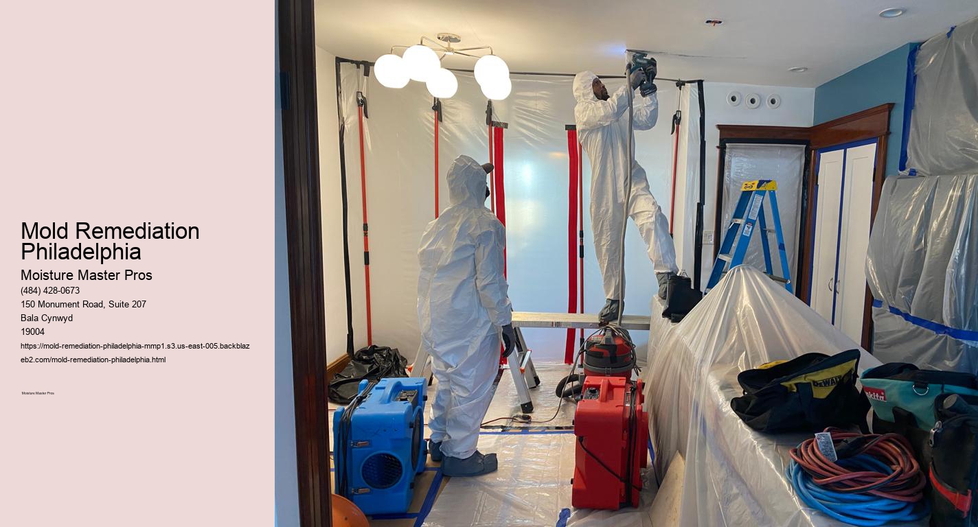 Mold Remediation Philadelphia