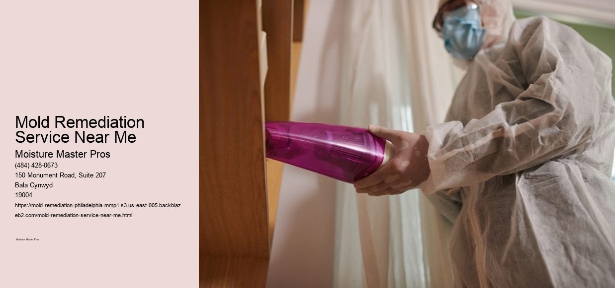 Mold Remediation Service Near Me