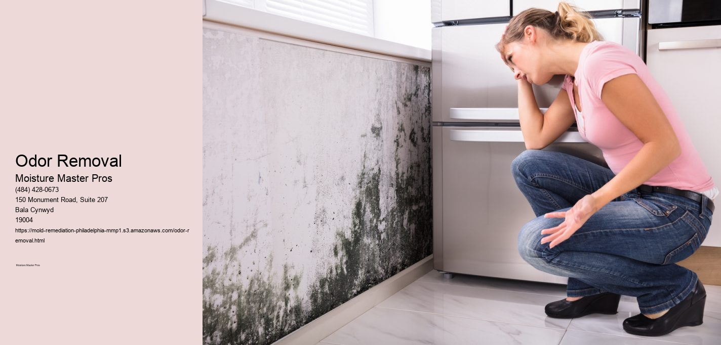 Odor Removal