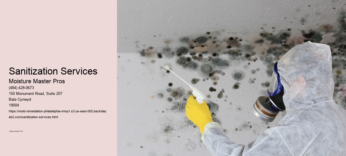 Sanitization Services