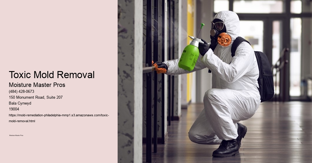 Toxic Mold Removal